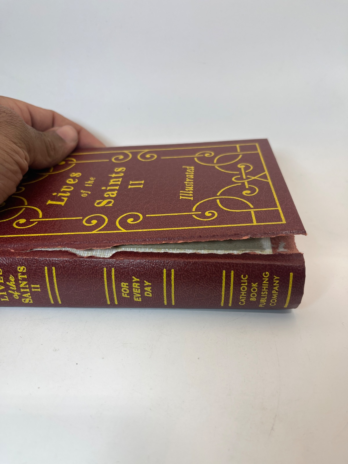 Lives of the Saints II - Image 8