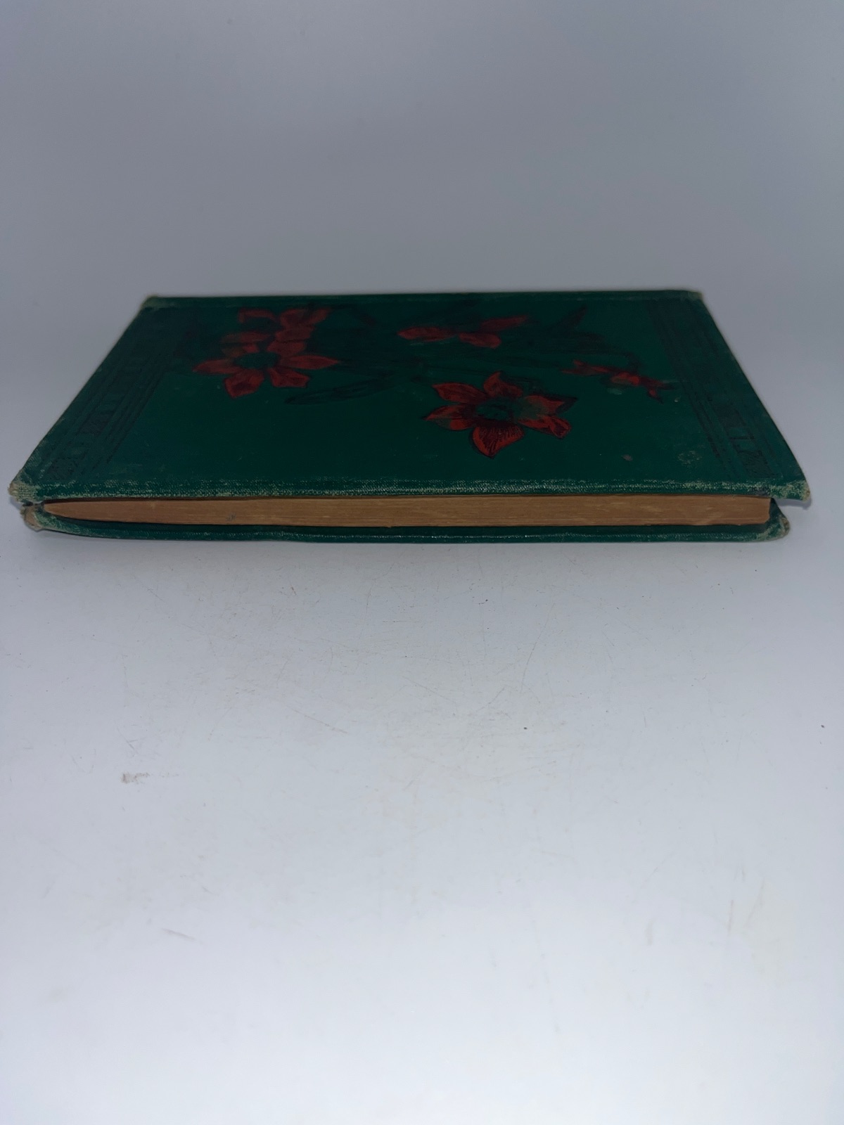 The Soldier's Daughter - Vintage Green Book - Image 5
