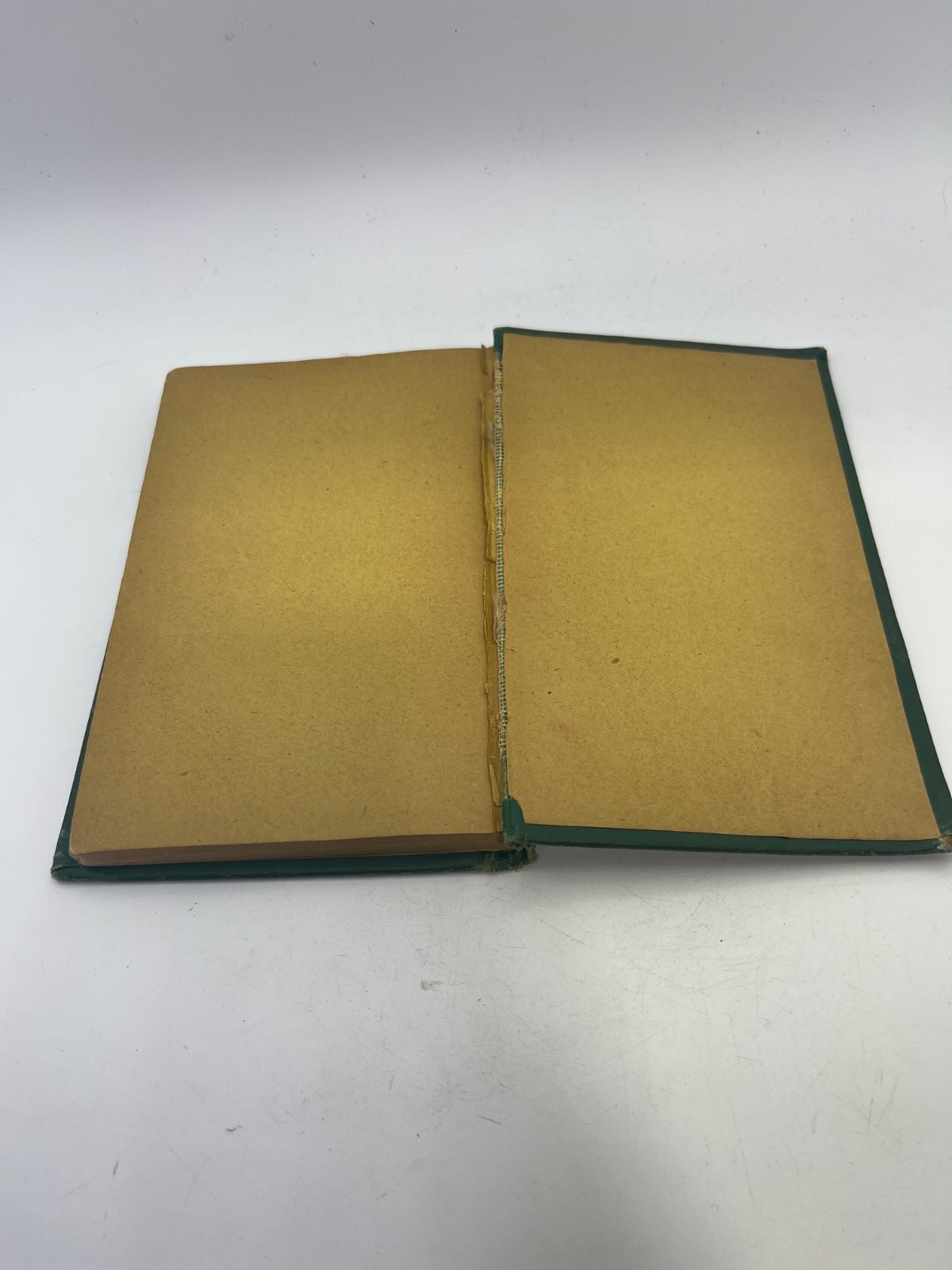 The Soldier's Daughter - Vintage Green Book - Image 8