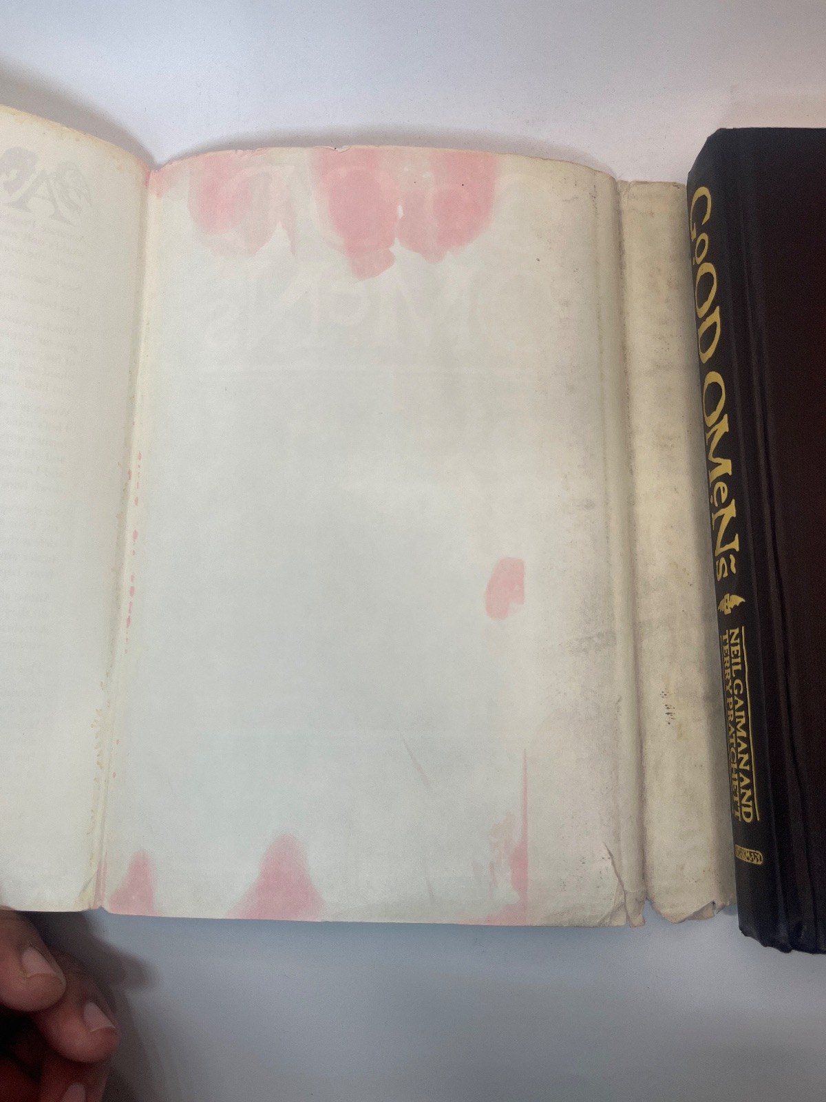 Good Omens: The Nice and Accurate Prophecies of Agnes Nutter, Witch - WATER DMG - Image 8