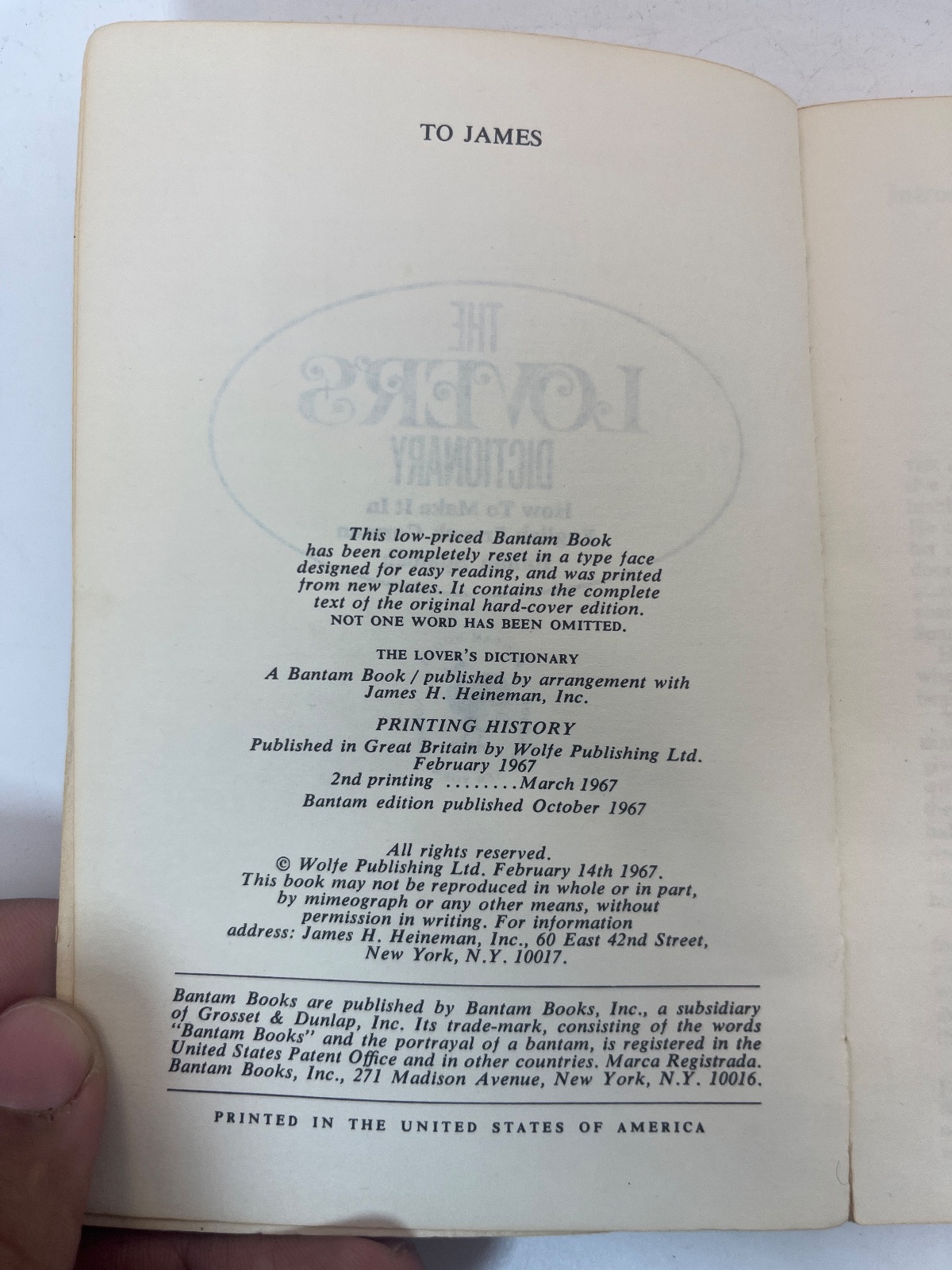 The Lover's Dictionary - Image 7