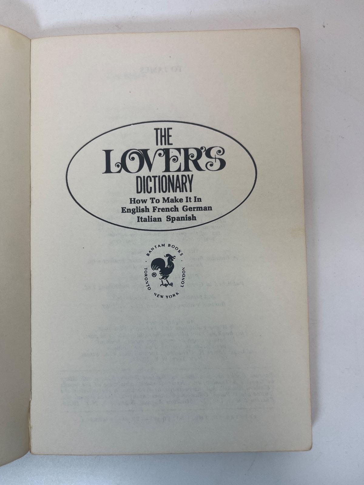 The Lover's Dictionary - Image 6