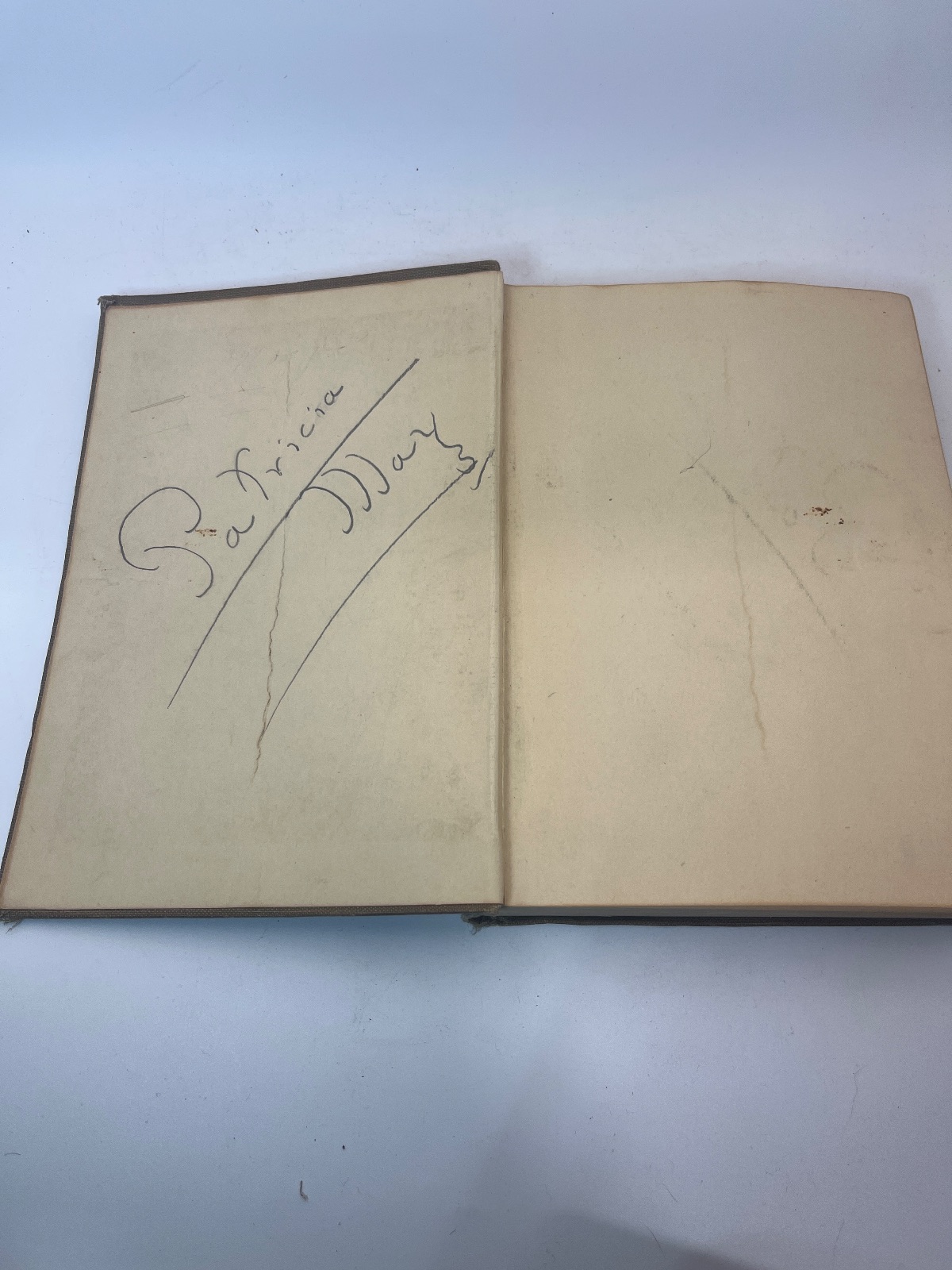 Scouting for Girls: Official Handbook of the Girl Scouts - Image 8