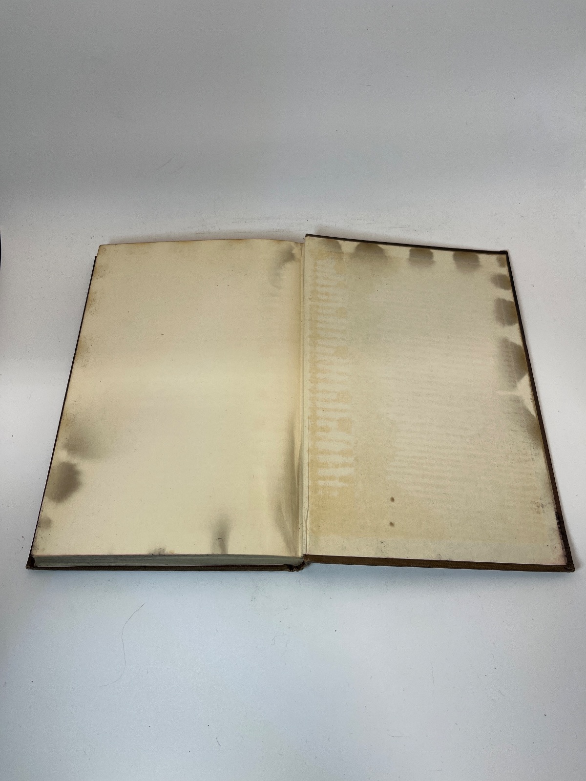 Golden Sovereign - Image 9