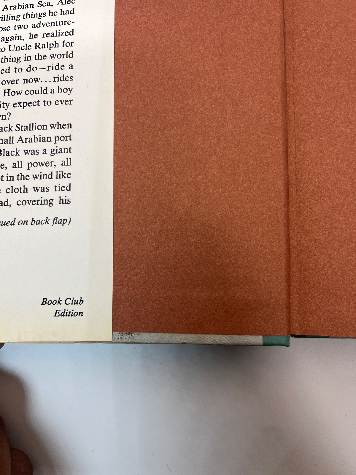 The Black Stallion - Book Club Edition - Image 3