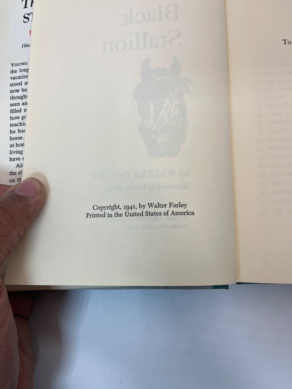 The Black Stallion - Book Club Edition - Image 5