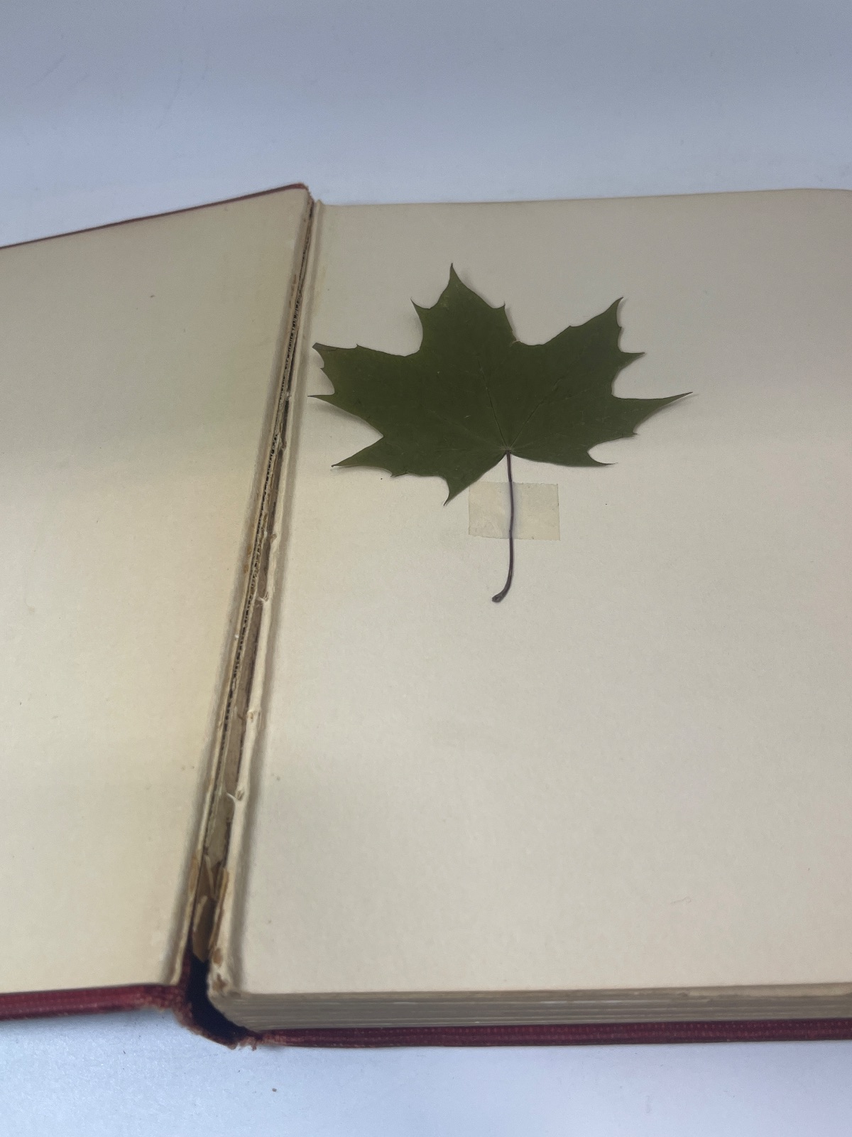 The Spell of the Yukon and Other Verses - 1907 - Image 8