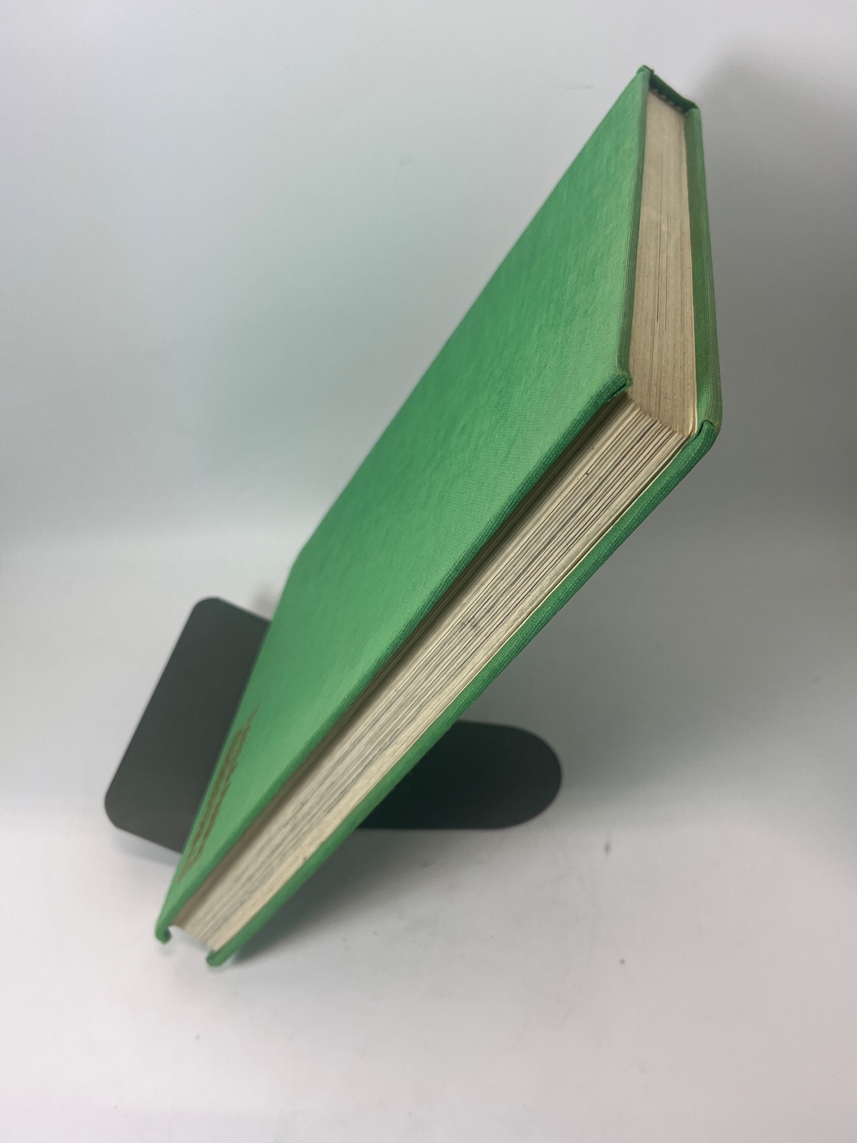 Tying & Fishing Terrestrials - Image 4