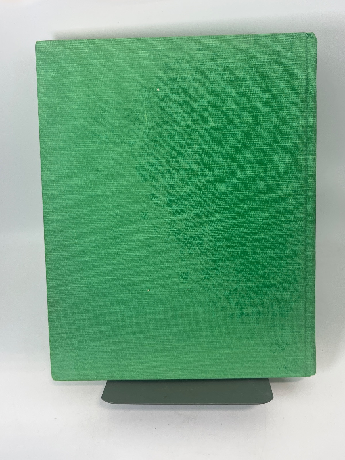 Tying & Fishing Terrestrials - Image 7