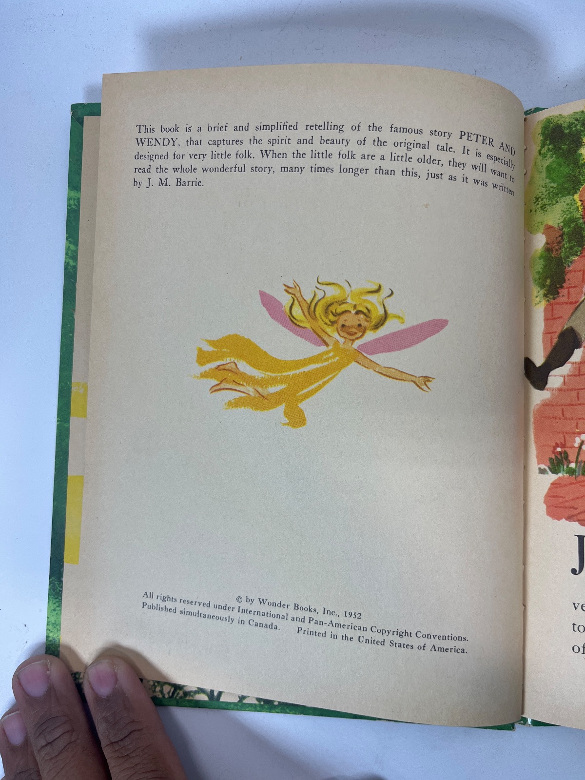 Peter Pan - Wonder books - Image 8