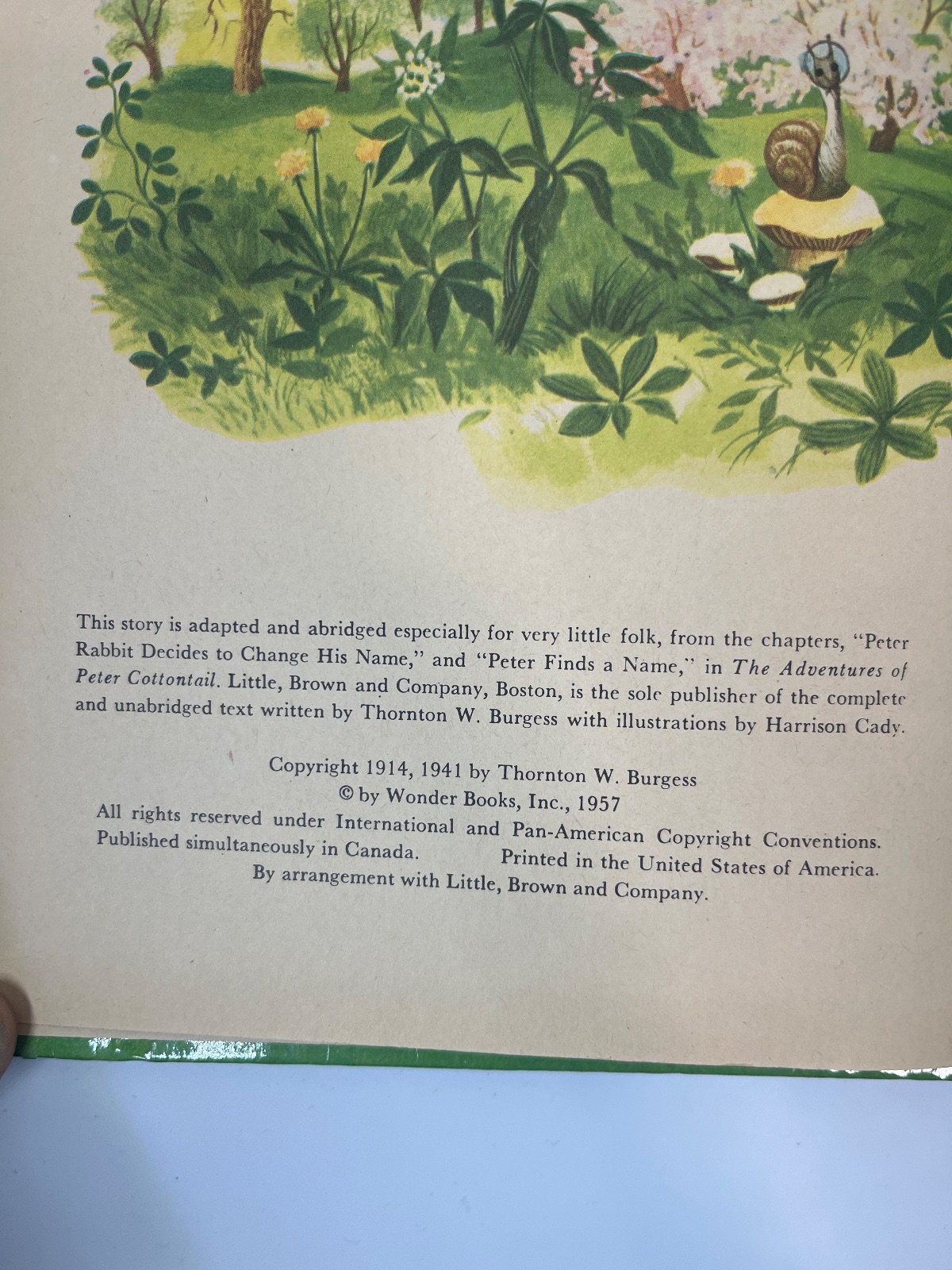 How Peter Cottontail Got His Name - Image 6