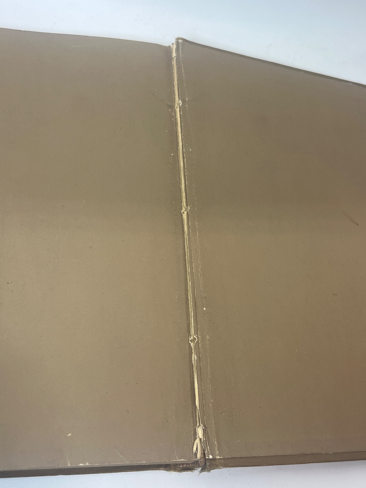 Farm Festivals - Image 5