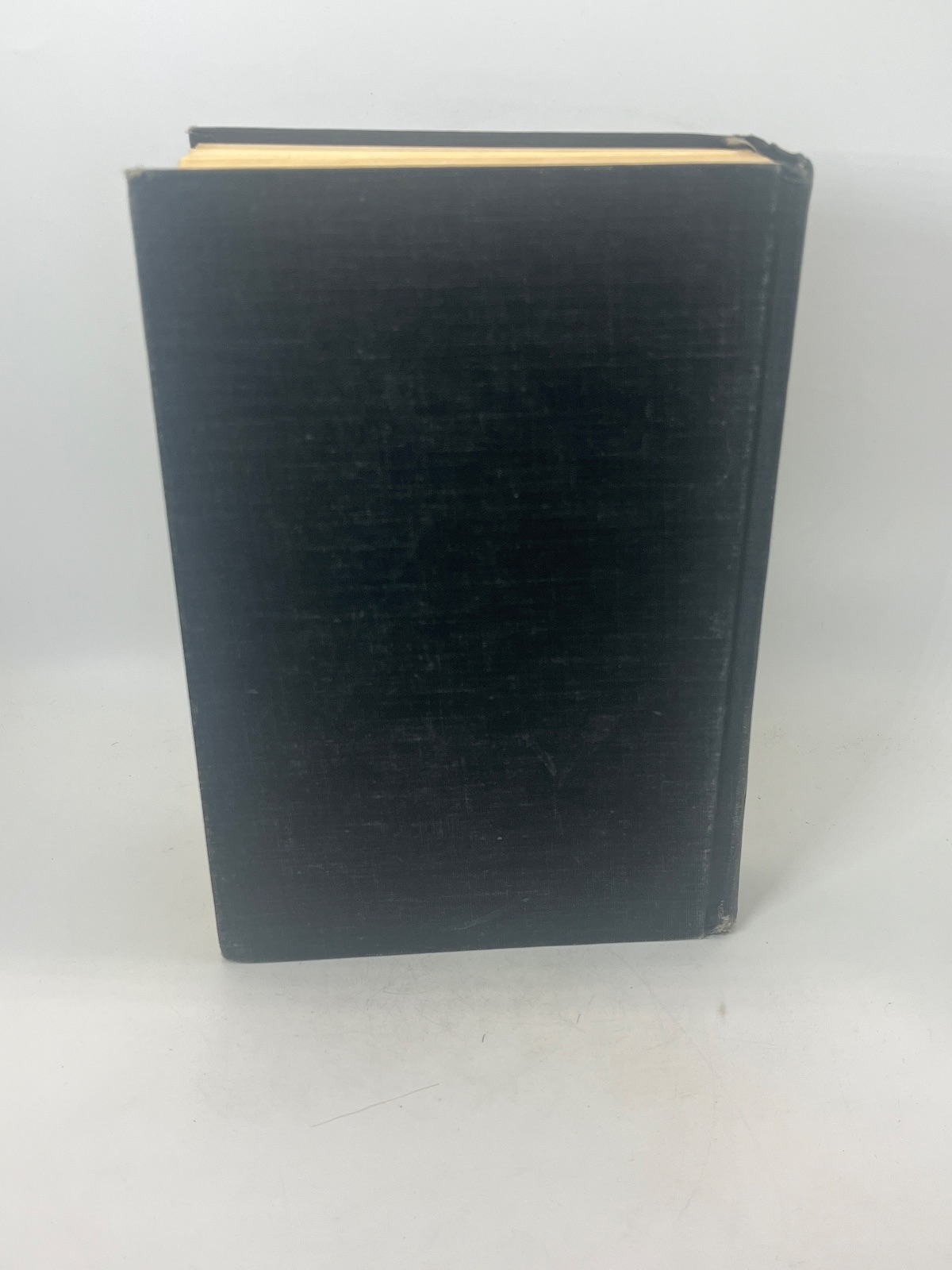 My Wicked, Wicked Ways - Image 4