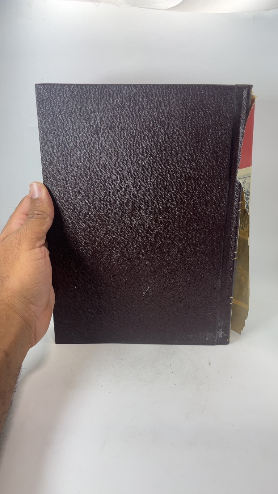 The Americana Annual 1969 - Image 3