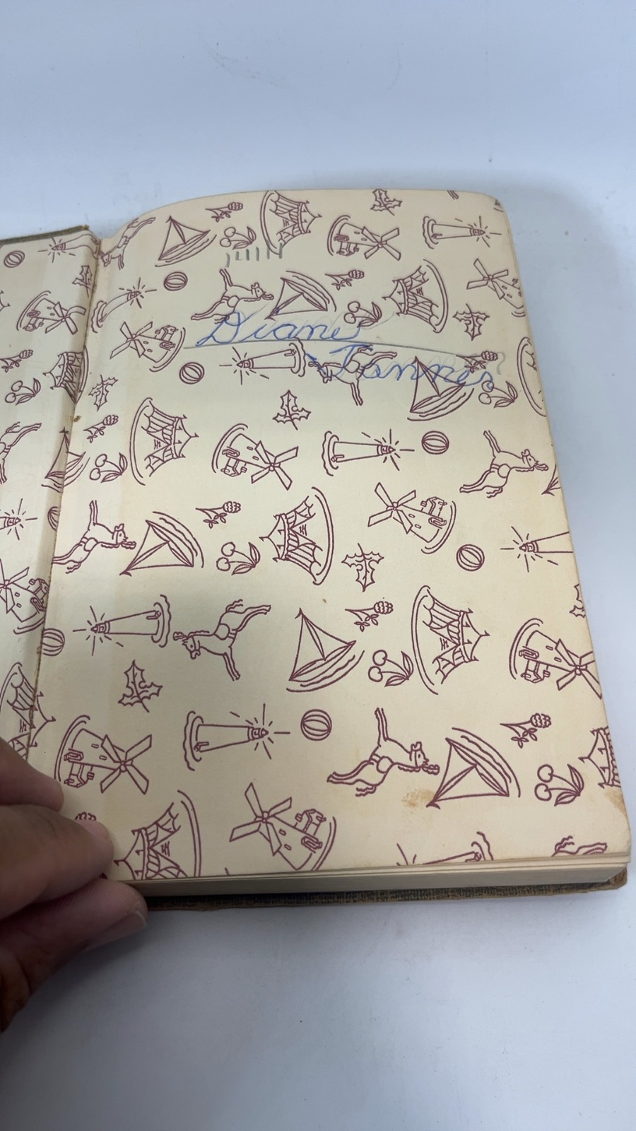 The Bobbsey Twins In Eskimo Land - Image 6