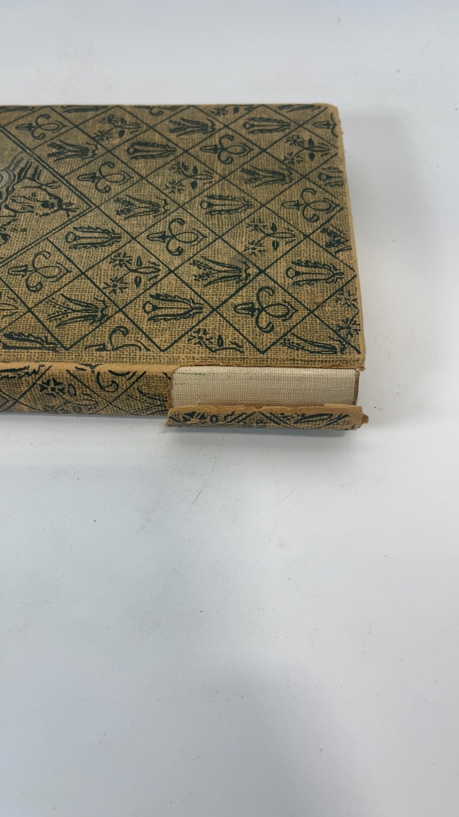 The Bobbsey Twins In Eskimo Land - Image 7