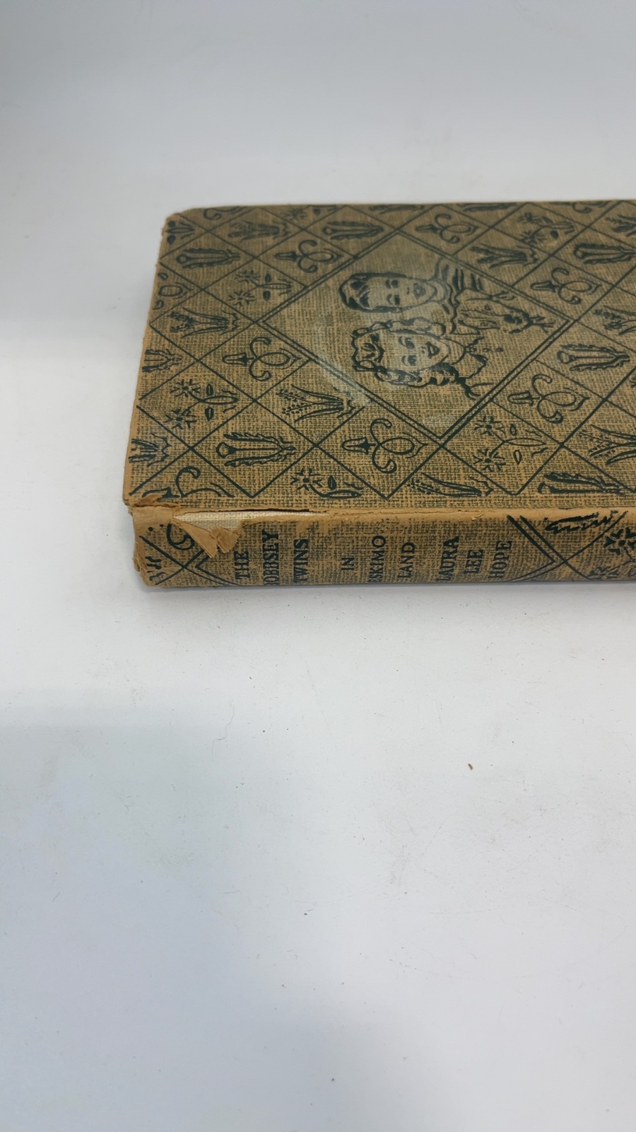 The Bobbsey Twins In Eskimo Land - Image 8