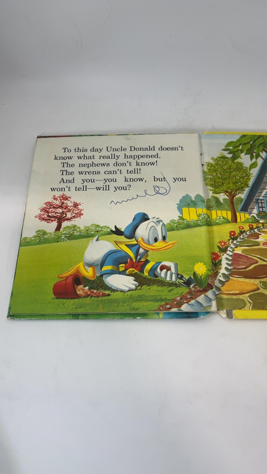 Walt Disney's Donald Duck and The New Birdhouse - Image 6