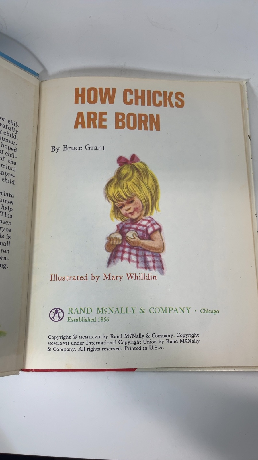 How Chicks Are Born - Image 4