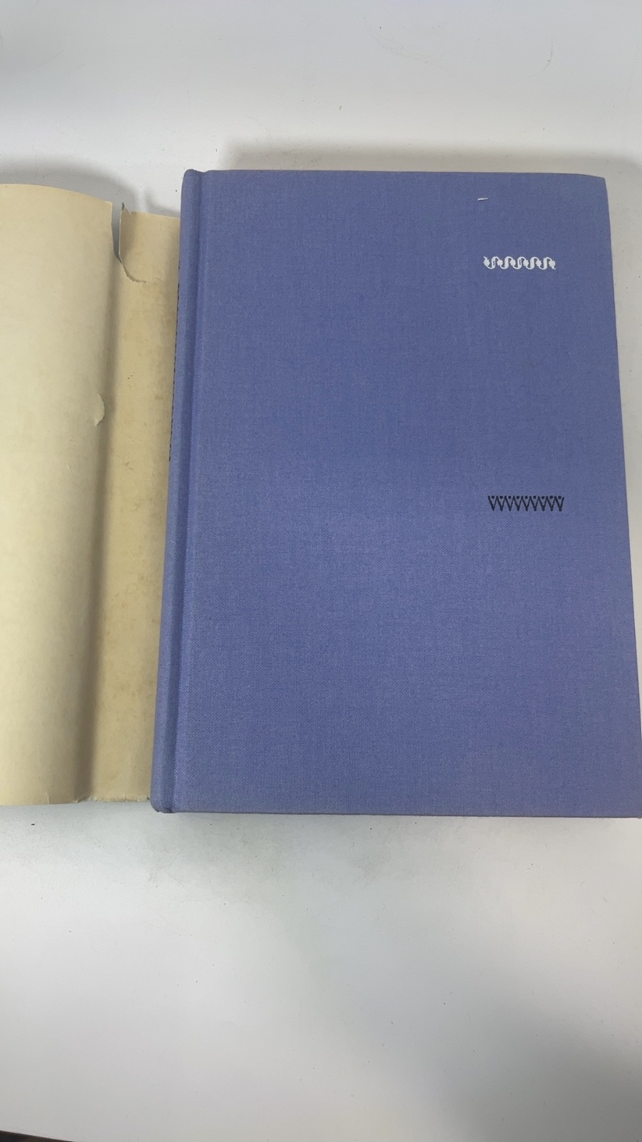 Mr. Lincoln's Wife - Image 6