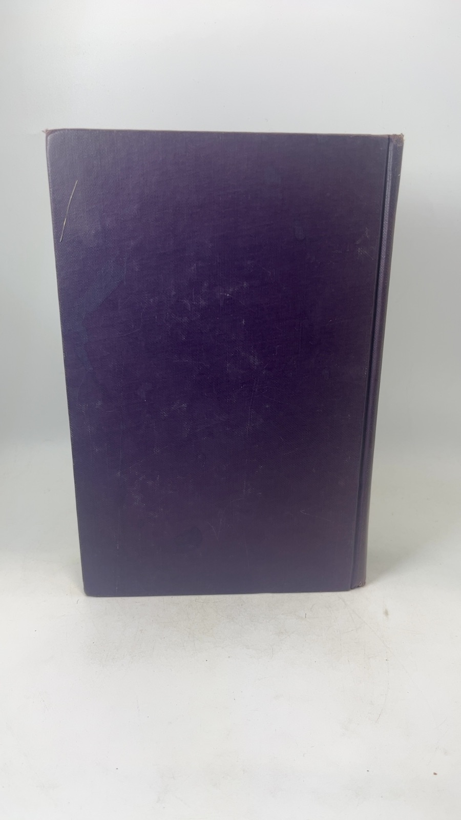 The Cardinal - Image 3