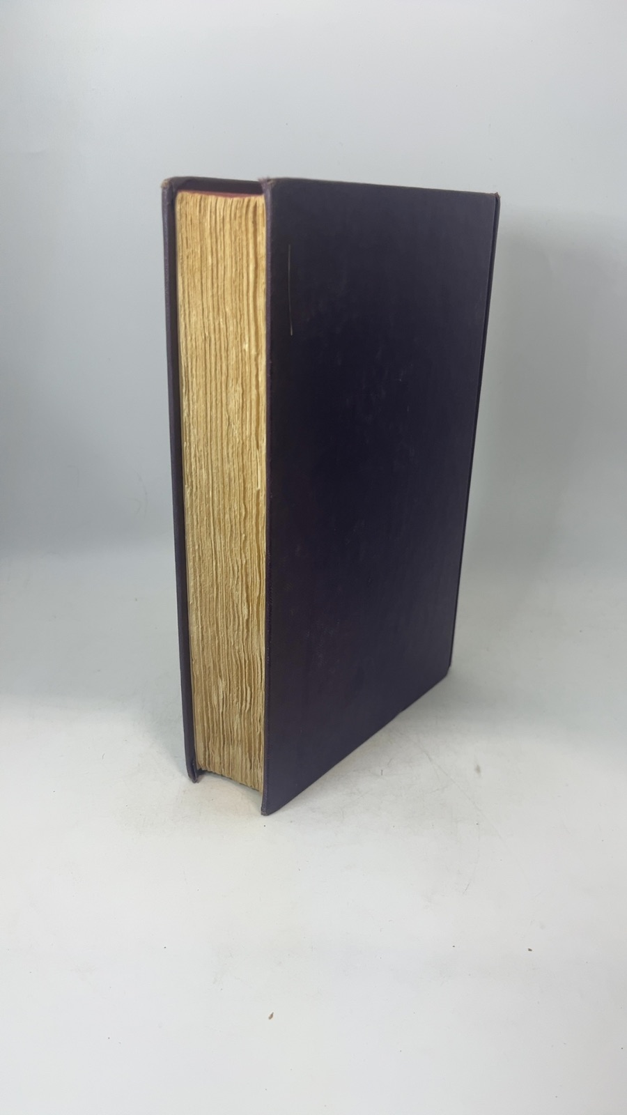 The Cardinal - Image 2