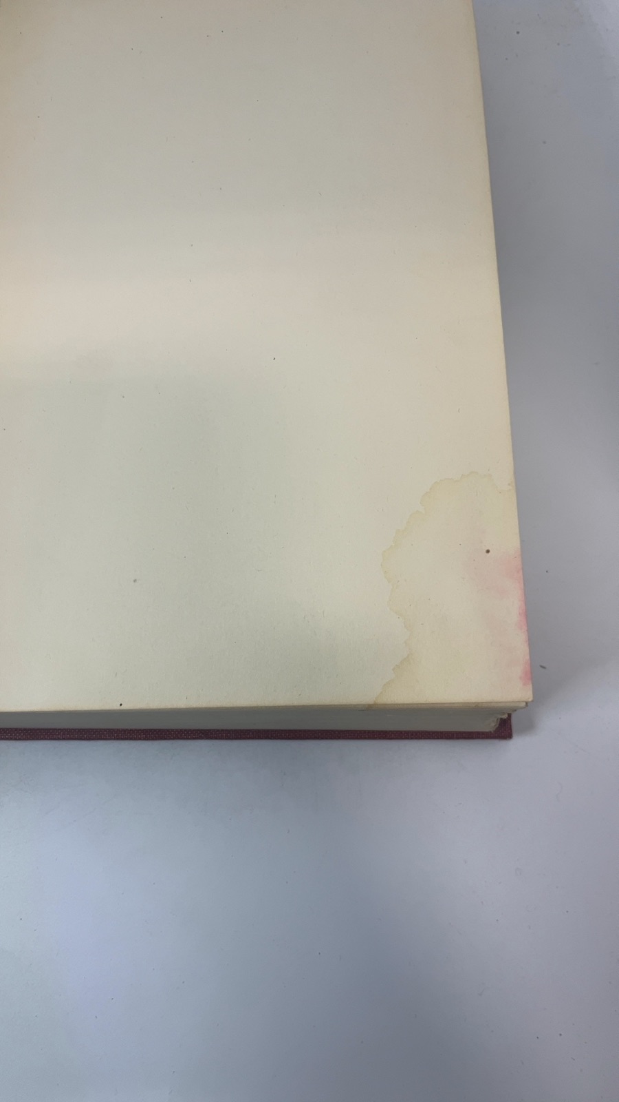 Son of a Hundred Kings - Image 6