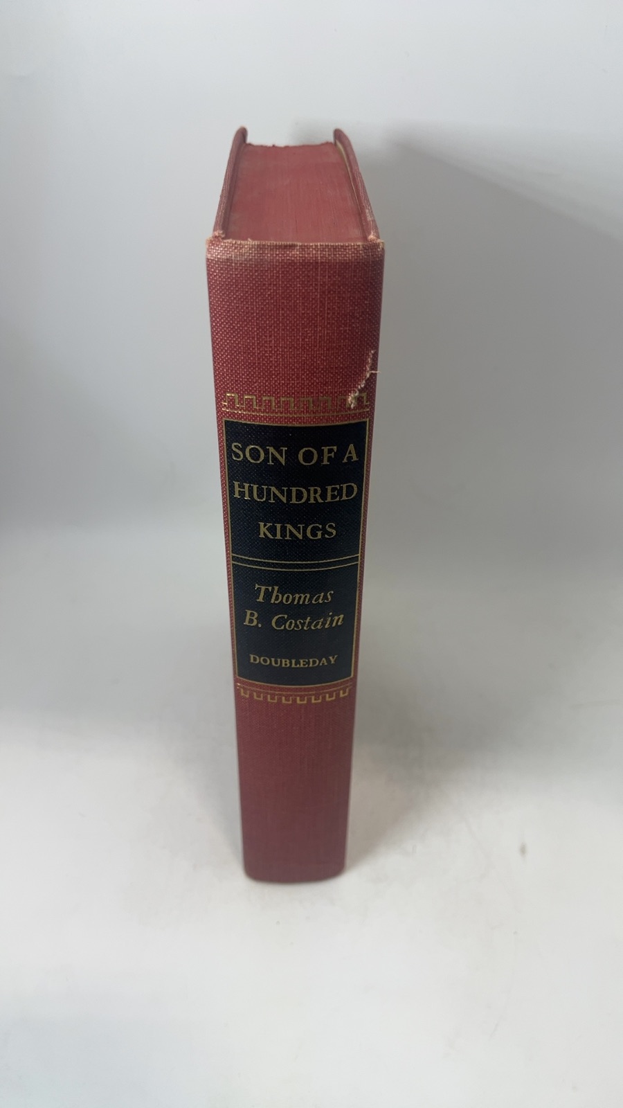 Son of a Hundred Kings - Image 7