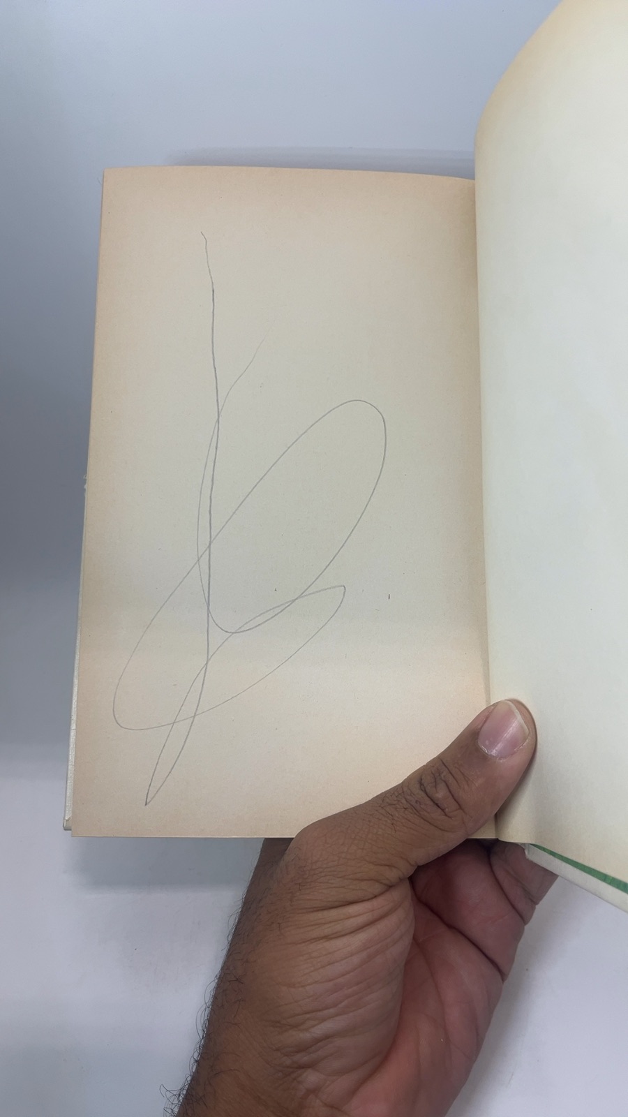 The Wind in the Willows - Image 6