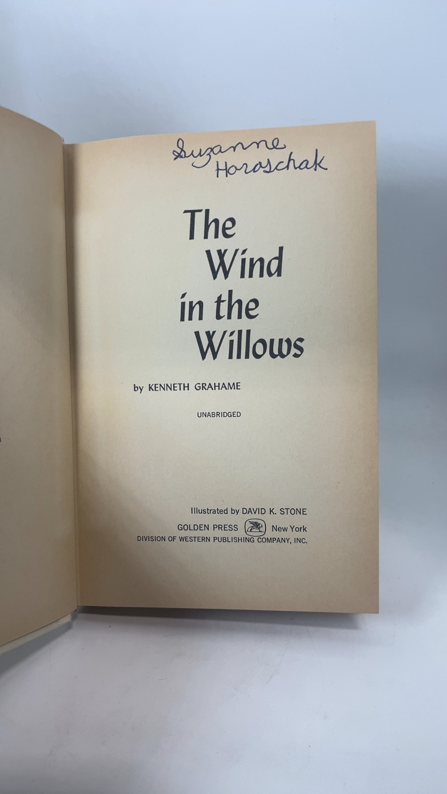 The Wind in the Willows - Image 4