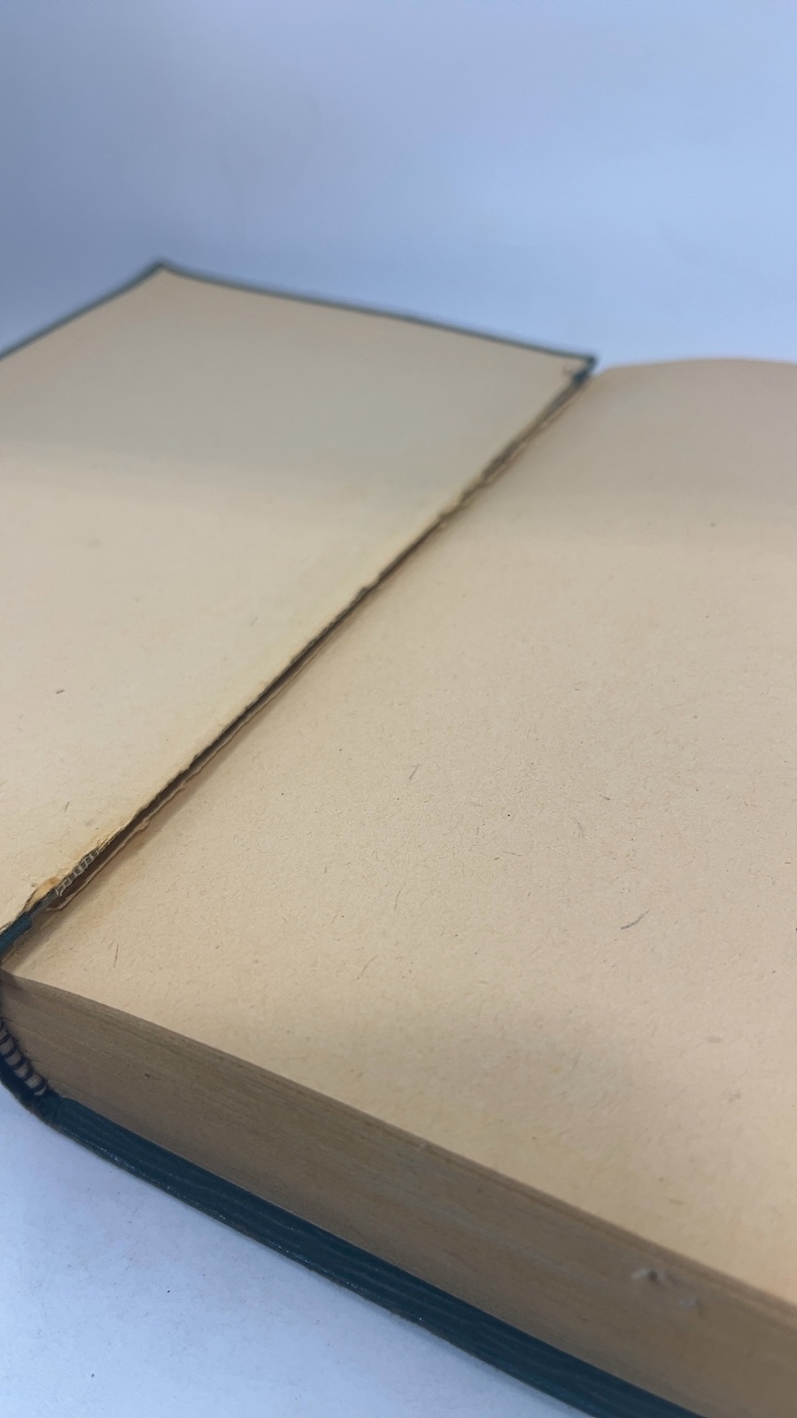 Hans Brinker or The Silver Skates - Image 6