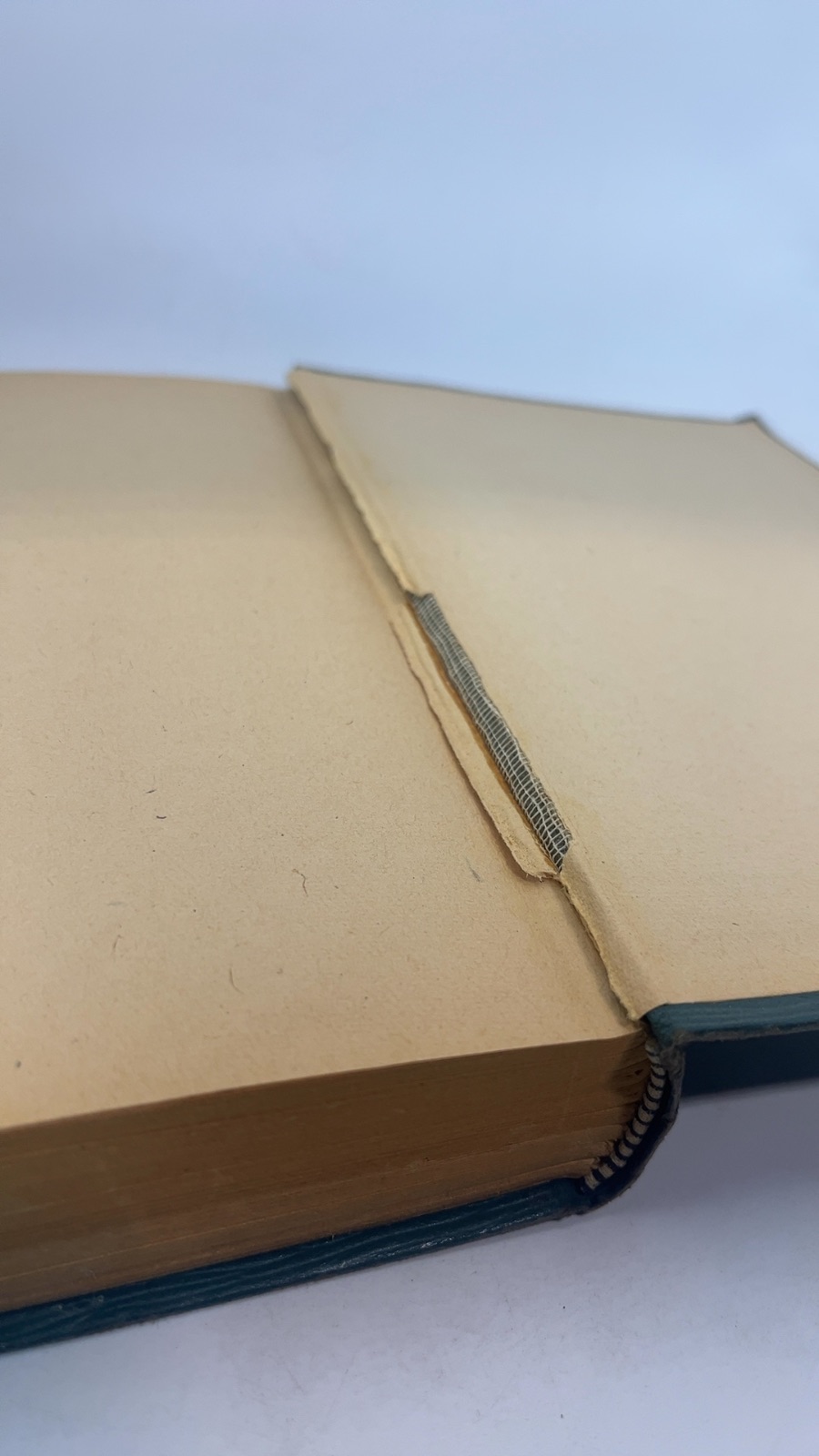 Hans Brinker or The Silver Skates - Image 8