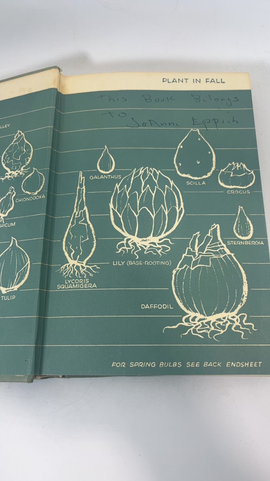The Complete Book of Bulbs - Image 6