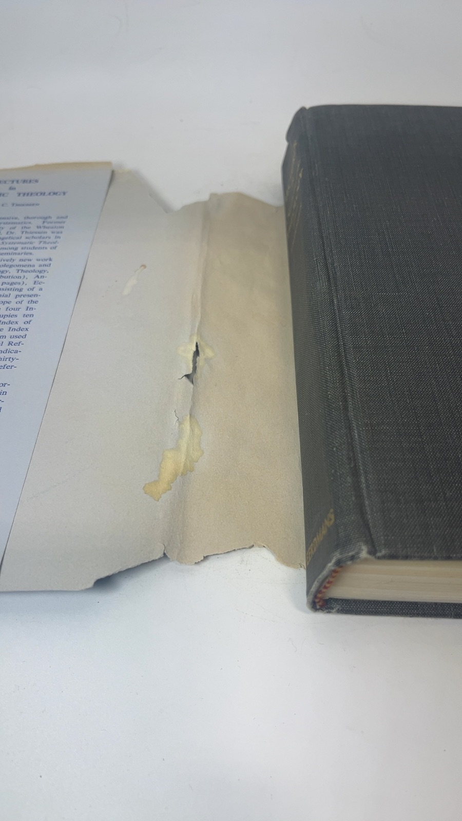 Introductory Lectures in Systematic Theology - Image 7