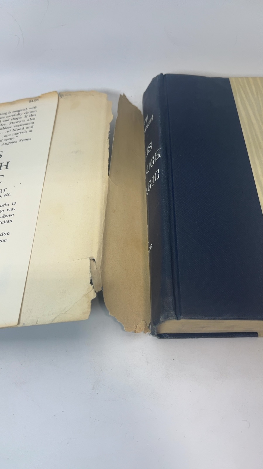 This Rough Magic - Image 6