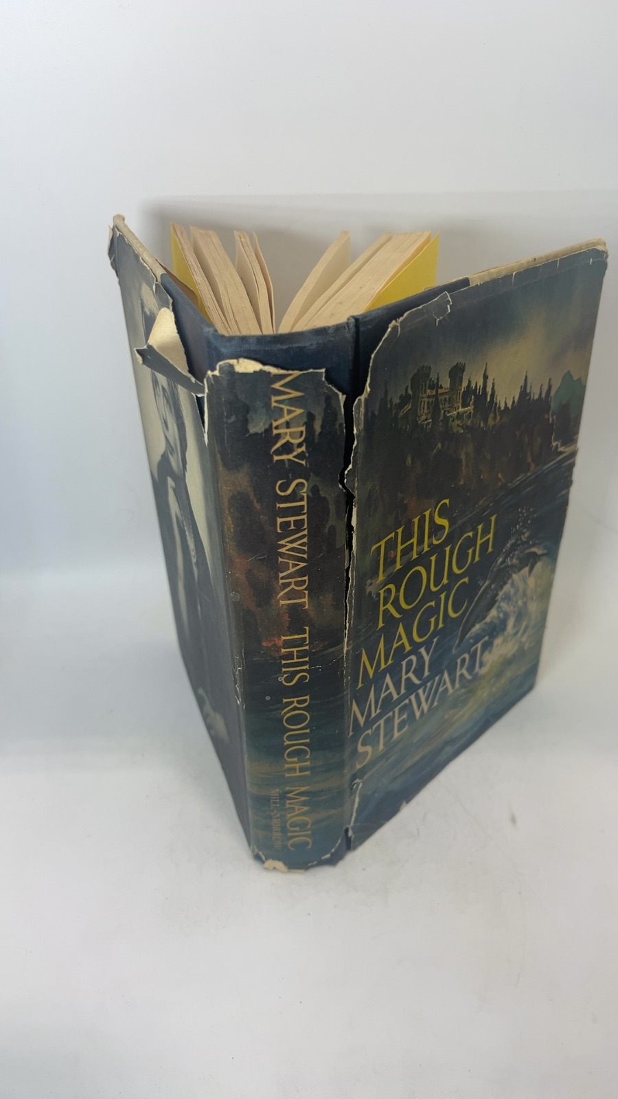 This Rough Magic - Image 7