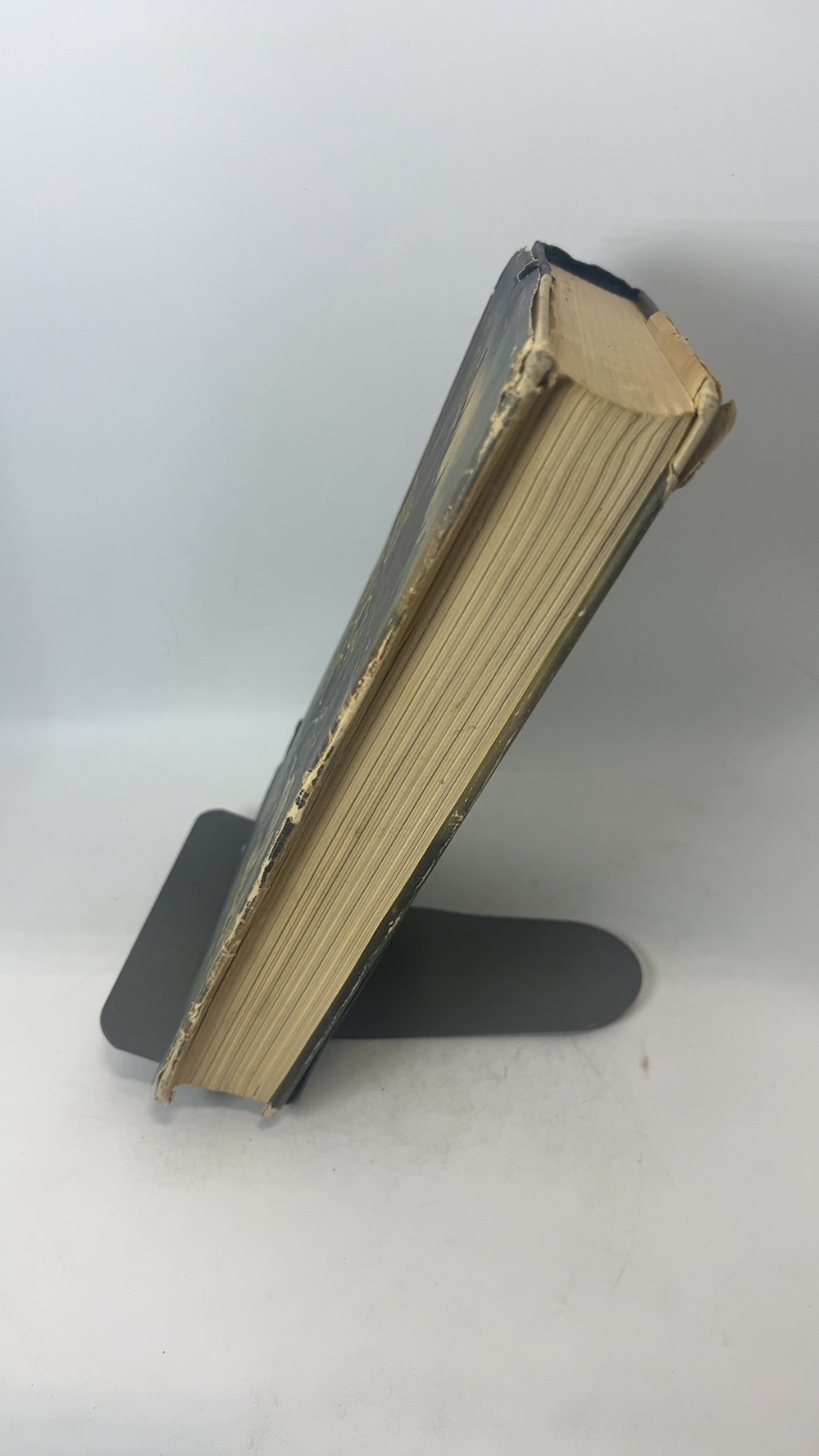 This Rough Magic - Image 2