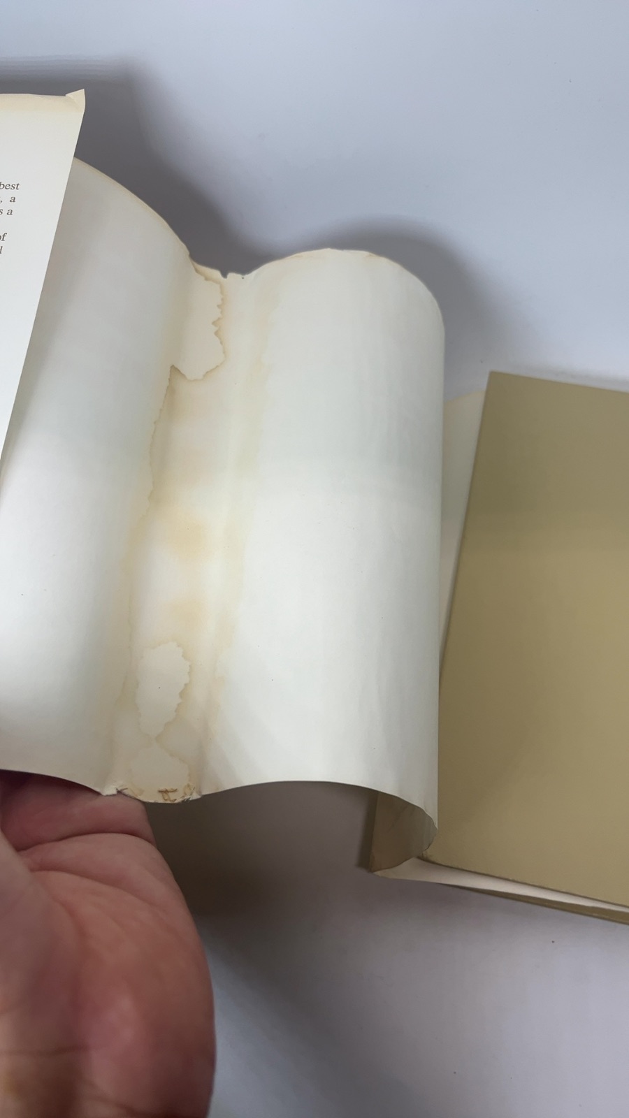 Elephants Can Remember - Image 7