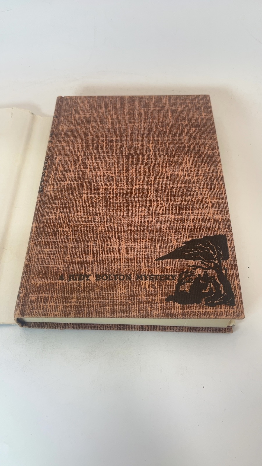 The Living Portrait - Image 6