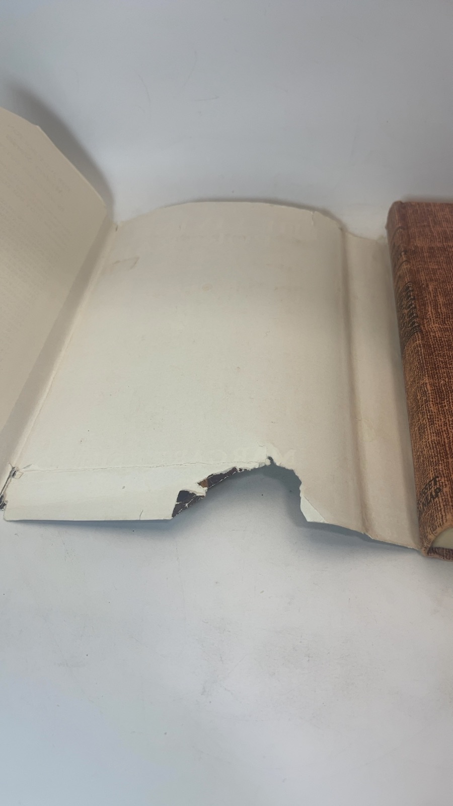 The Living Portrait - Image 7