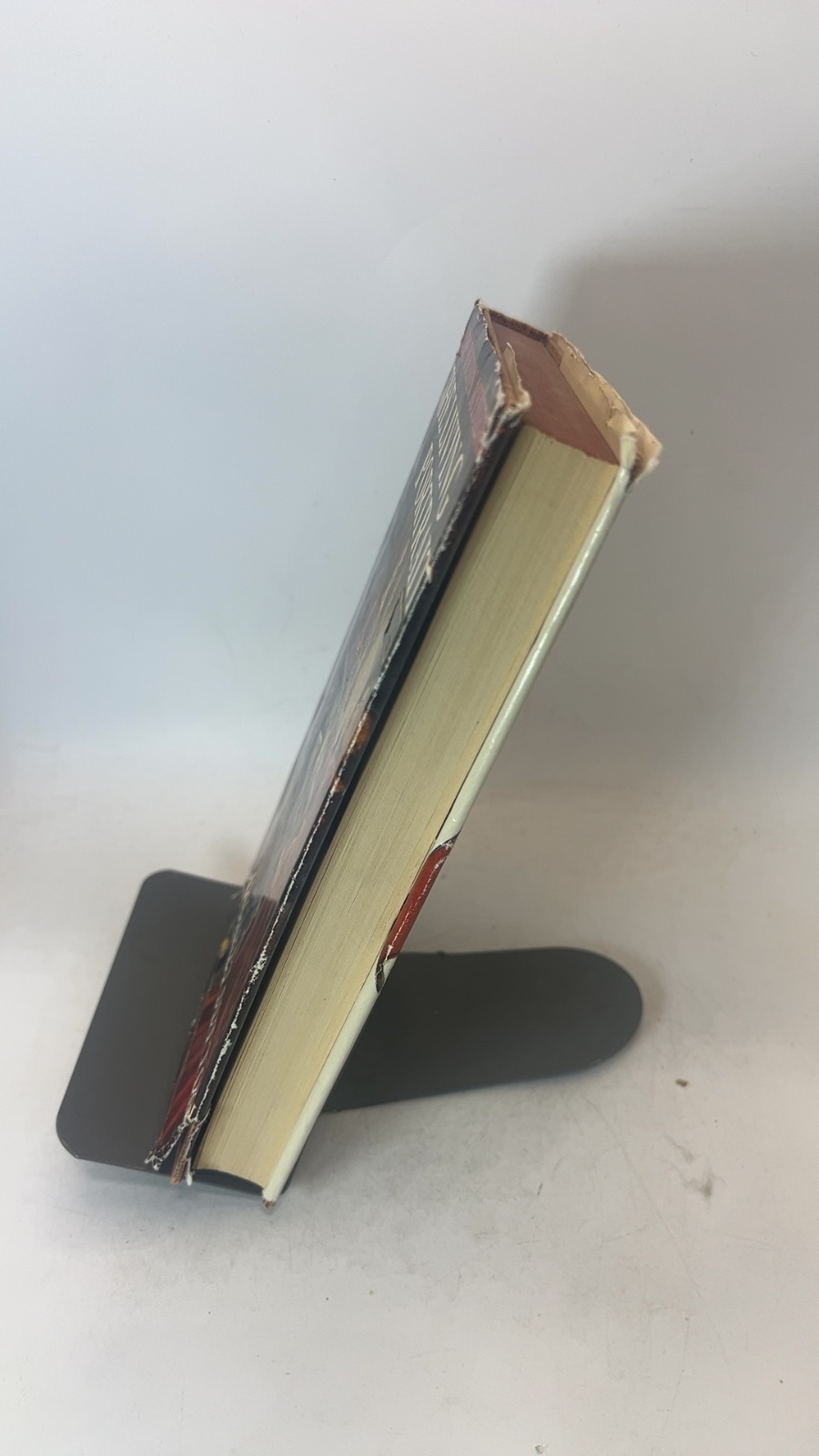 The Living Portrait - Image 2