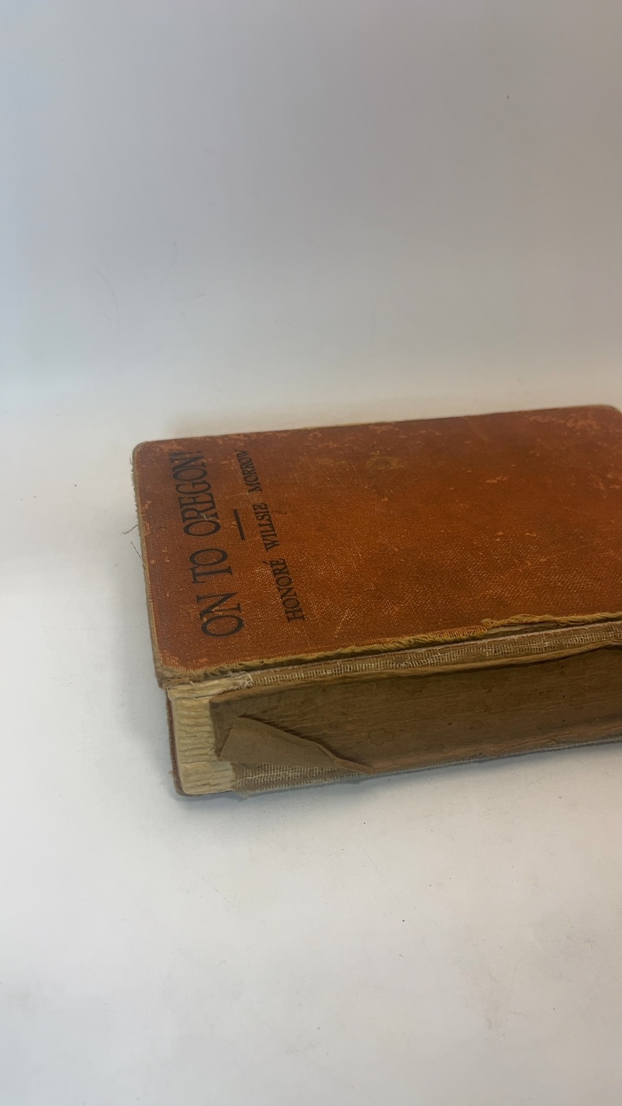 On to Oregon! The Story of a Pioneer Boy - Image 9