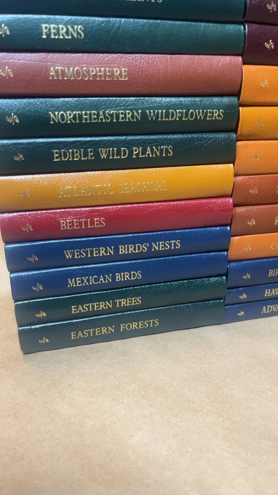 Roger Tory Peterson Field Guides Easton Press Lot of 37 Volumes - Image 3