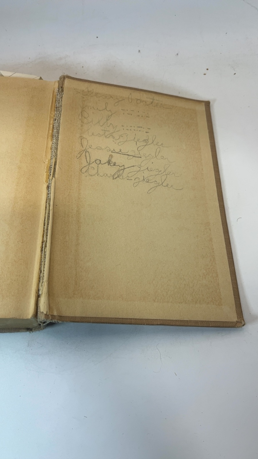 Bomba the Jungle Boy or The Old Naturalist’s Secret - Image 10