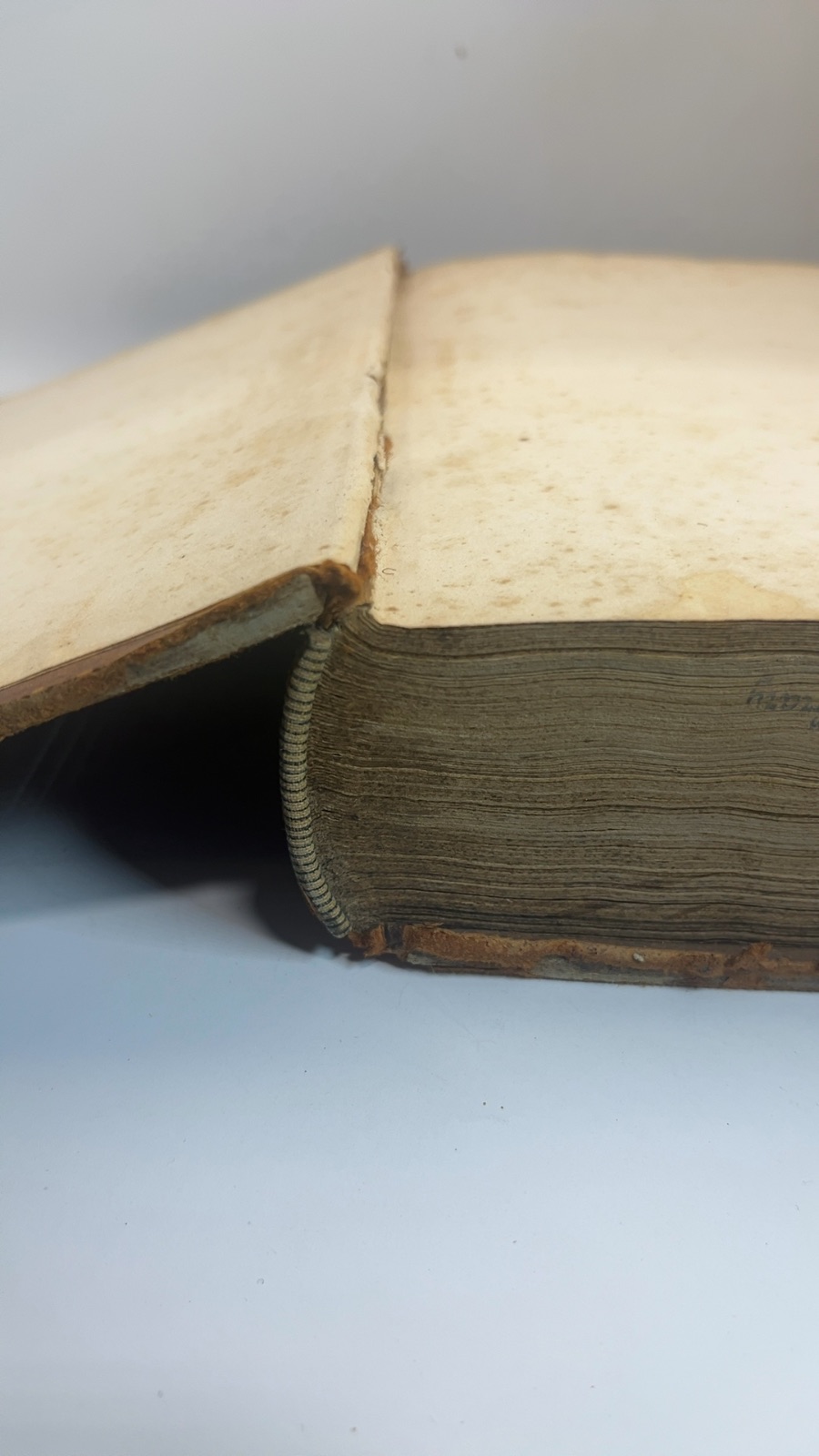 An Exposition of the Old and New Testament - Volume 1 - Image 6