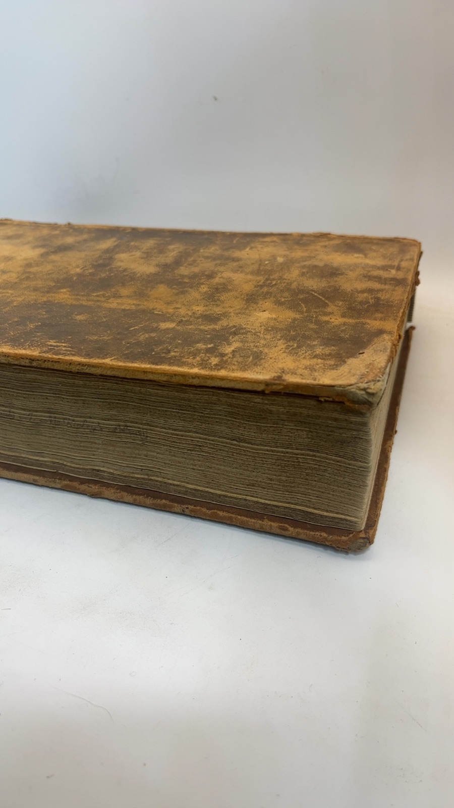 An Exposition of the Old and New Testament - Volume 1 - Image 16