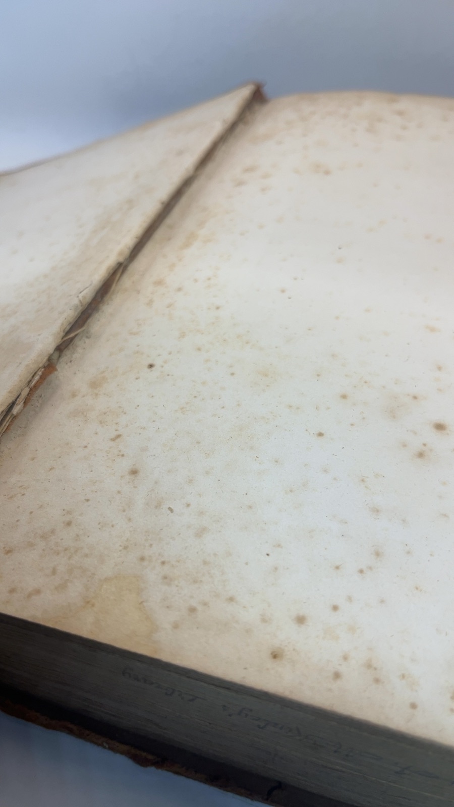 An Exposition of the Old and New Testament - Volume 1 - Image 7