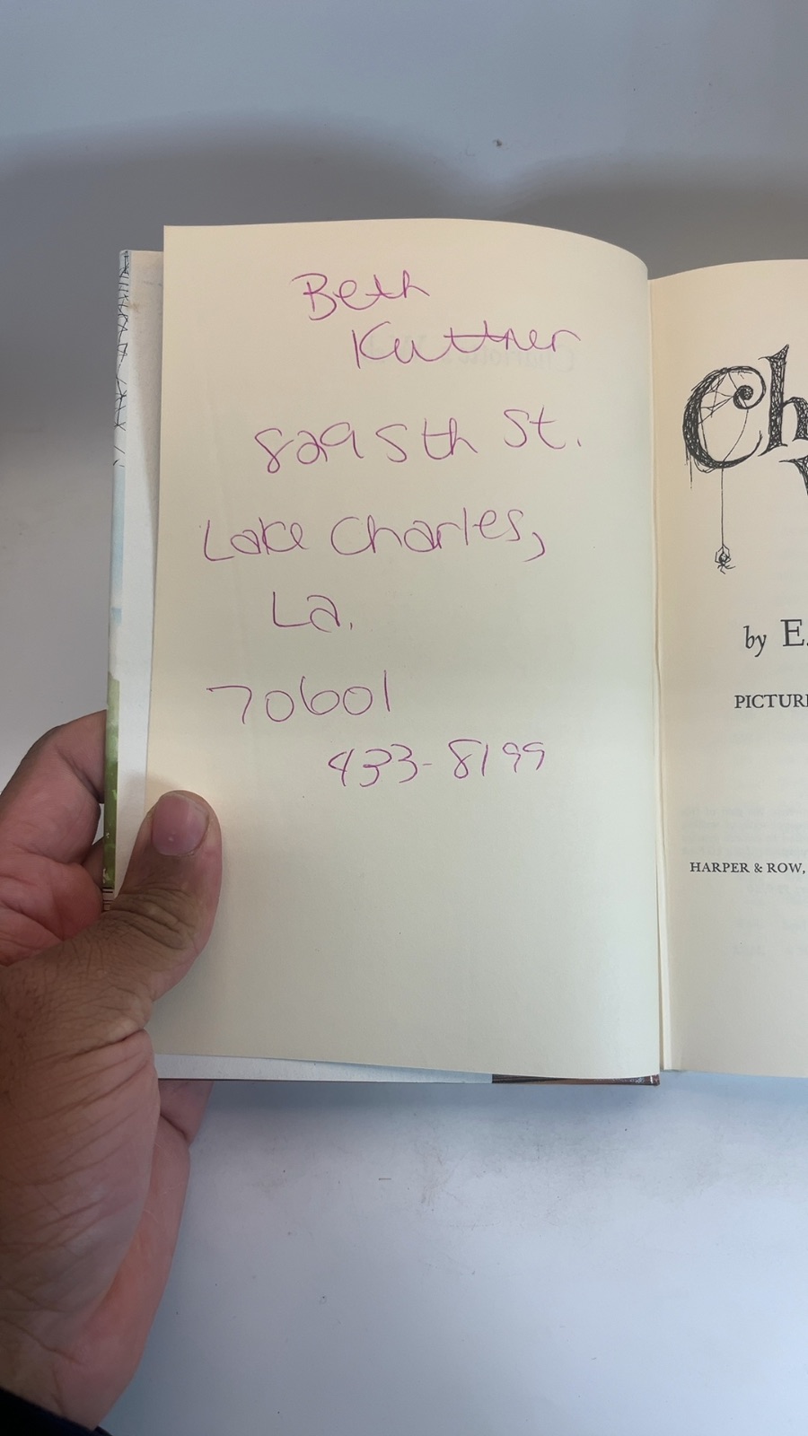 E.B. White Book Lot of 3 - Charlotte's Web, Stuart Little, The Trumpet of the Swan - Image 7