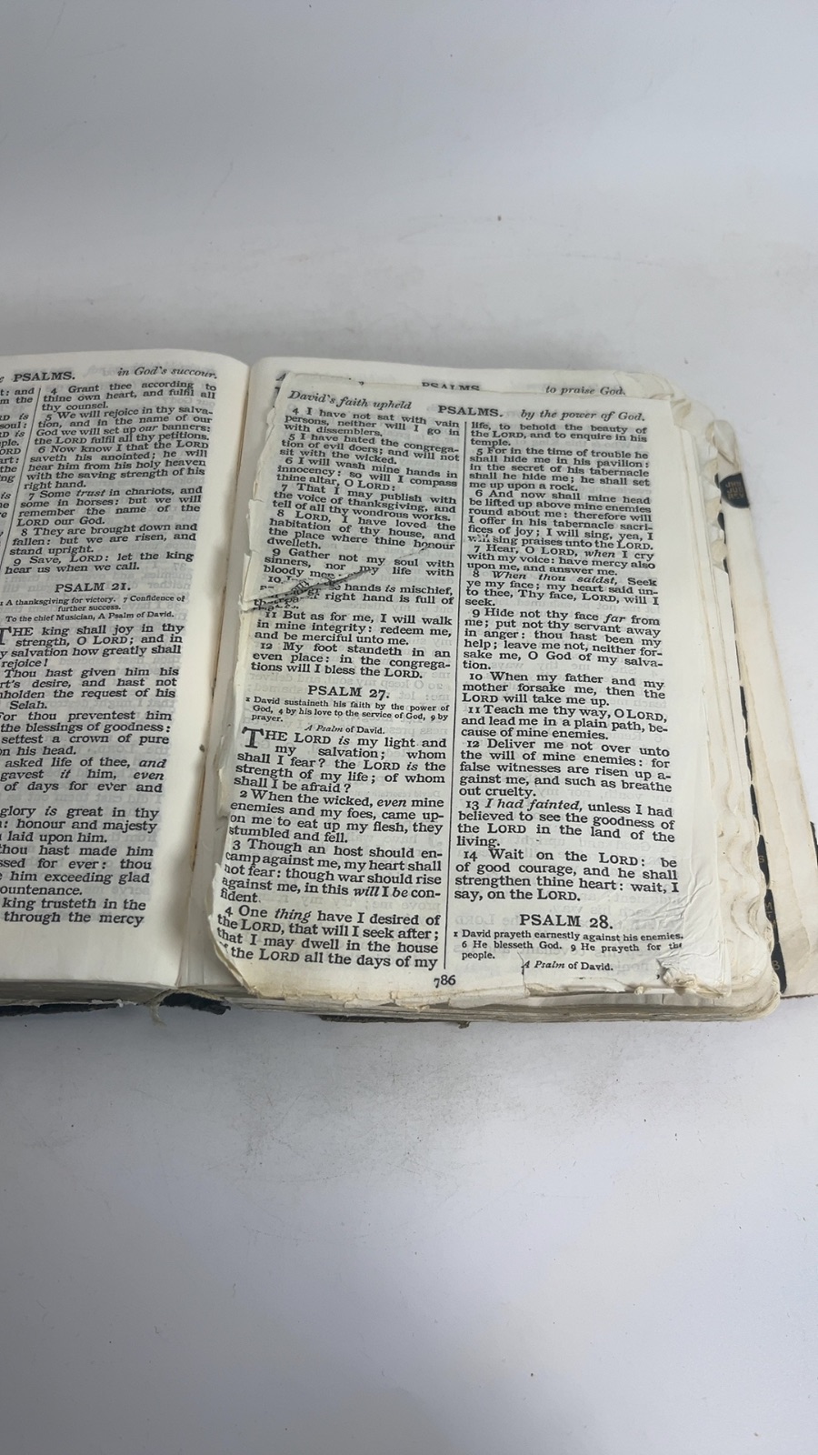 The Holy Bible - Image 6