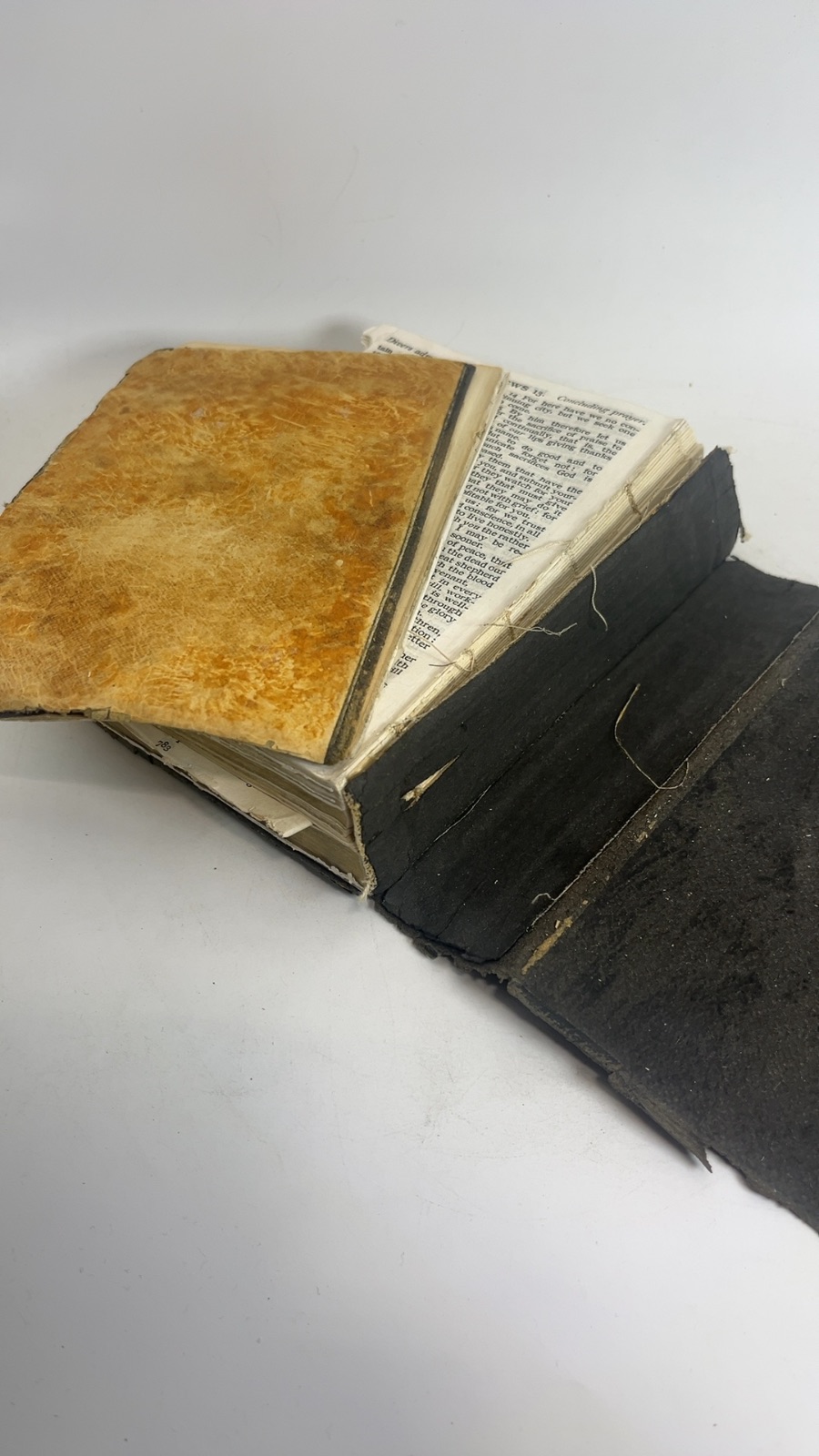 The Holy Bible - Image 8